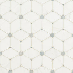 Marble Tile Collection Bianco Dolomite Cecily Grigio Swatch