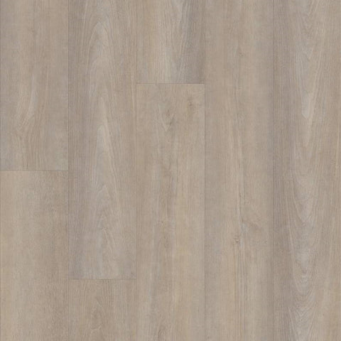 Shaw Pantheon HD Plus Cenere Swatch