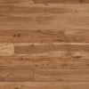 Paramount Engineered Mt. Adams Chester Swatch