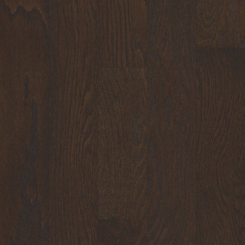 Shaw Albright Oak 5" Chocolate Swatch
