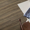Shaw Endura 512C Plus Cinnamon Walnut Room Scene