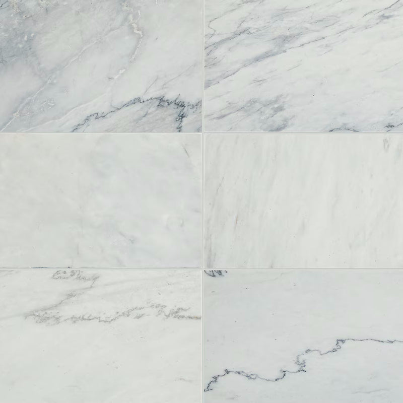 Daltile Raine Rectangle 12x24 Polished