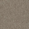 Shaw Carpet Tile Multiplicity Cluster Swatch