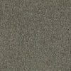 Shaw Carpet Tile Multiplicity Cluster 24” Swatch