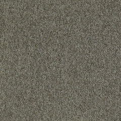 Shaw Carpet Tile Multiplicity Cluster 24” Swatch