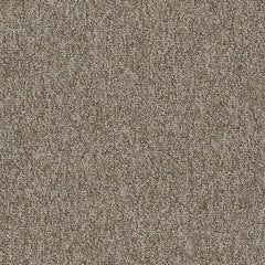 Shaw Carpet Tile Multiplicity Cluster Swatch