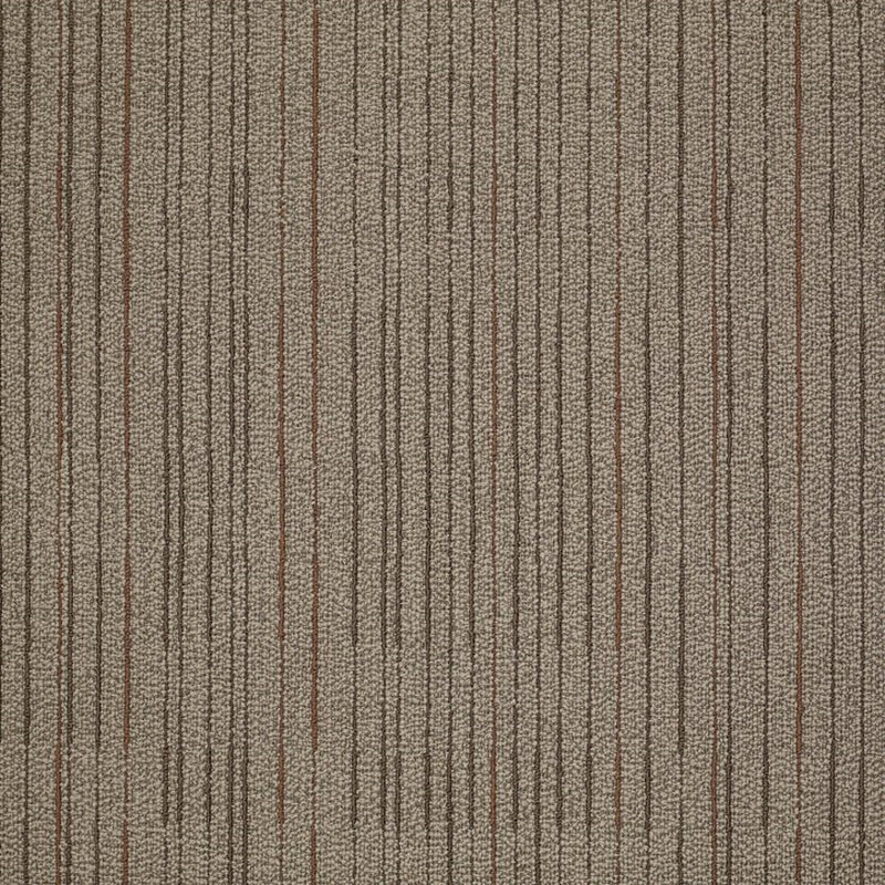 Shaw Carpet Tile Immerse Consume