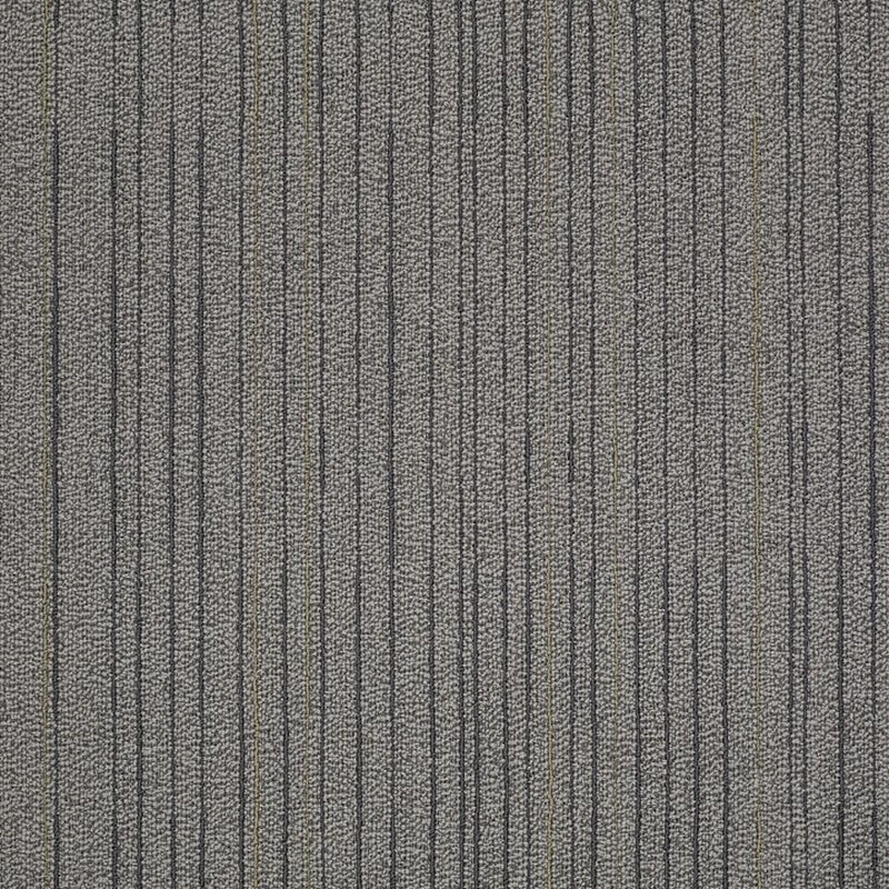 Shaw Carpet Tile Immerse Contemplate