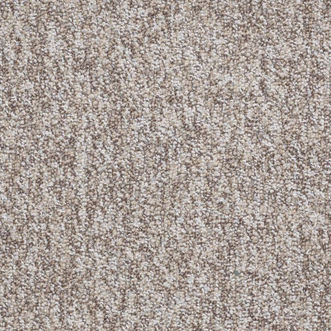 Shaw Carpet Tile No Limits Tile Control Swatch