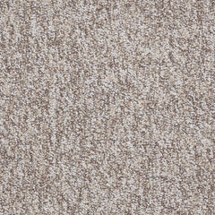 Shaw Carpet Tile No Limits Tile Control Swatch
