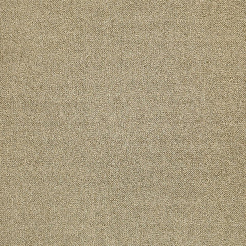 Shaw Carpet Tile Counterpart Copy Cat Swatch