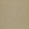 Shaw Carpet Tile Counterpart Copy Cat Swatch