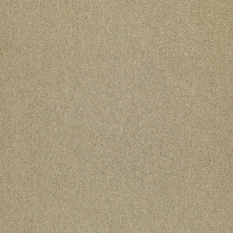 Shaw Carpet Tile Counterpart Copy Cat
