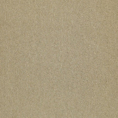 Shaw Carpet Tile Counterpart Copy Cat Swatch