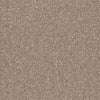 Shaw Carpet Tile Knot It Cord Swatch