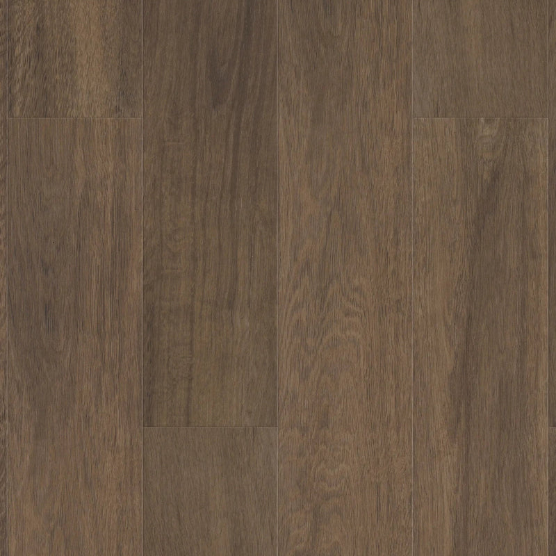 Shaw Pantheon HD+ Natural Bevel Cordovan
