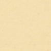 Cornsilk Glossy / 12.50