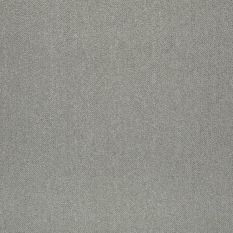 Shaw Carpet Tile Counterpart Correlate