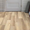 Shaw Vinyl Floorte Dockside Corrgan Brook Romo Scene