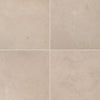 Marble Tile Collection Crema Marfil Honed Select 12"x12" Swatch