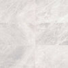 Daltile Eclessia Marble Rectangle Honed 12"x24" Cristallo