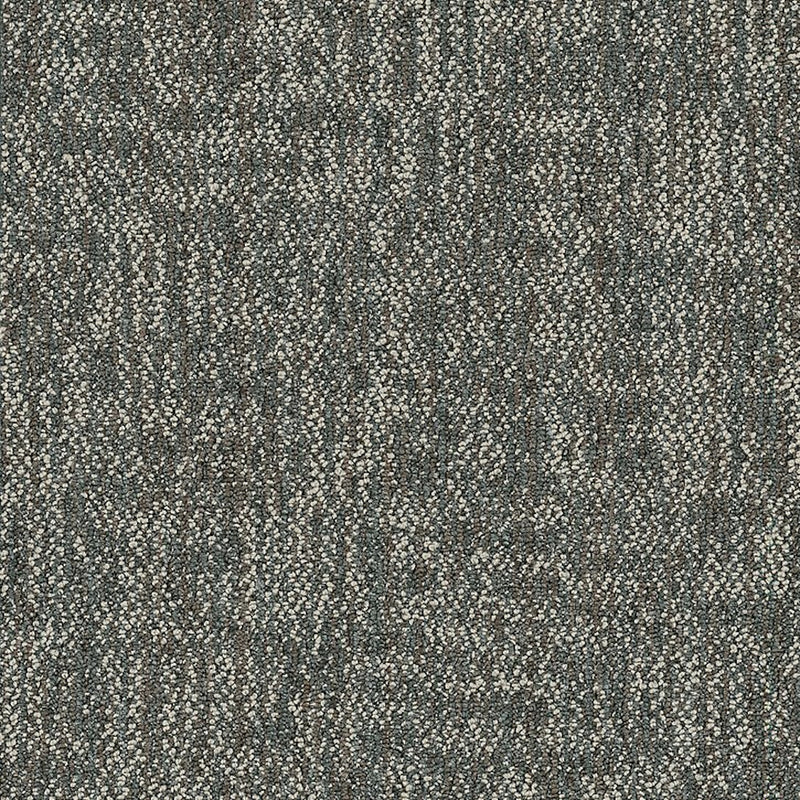 Shaw Carpet Tile Crazy Smart Daring