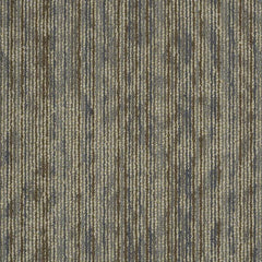 Shaw Carpet Tile Amaze Daze Swatch