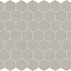 Desert Gray