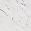 Daltile Marble Attache Lavish Rectangle 24x48 Polished Diamond Carrara