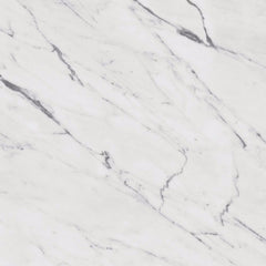Daltile Marble Attache Lavish Rectangle 24x48 Polished Diamond Carrara