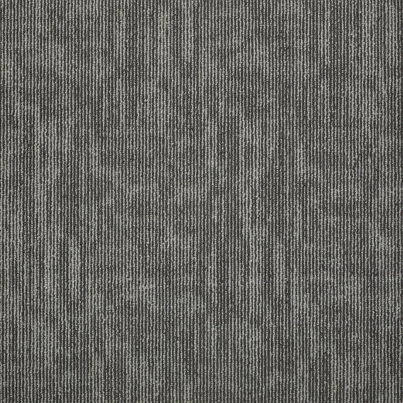 Shaw Carpet Tile Carbon Copy Ditto