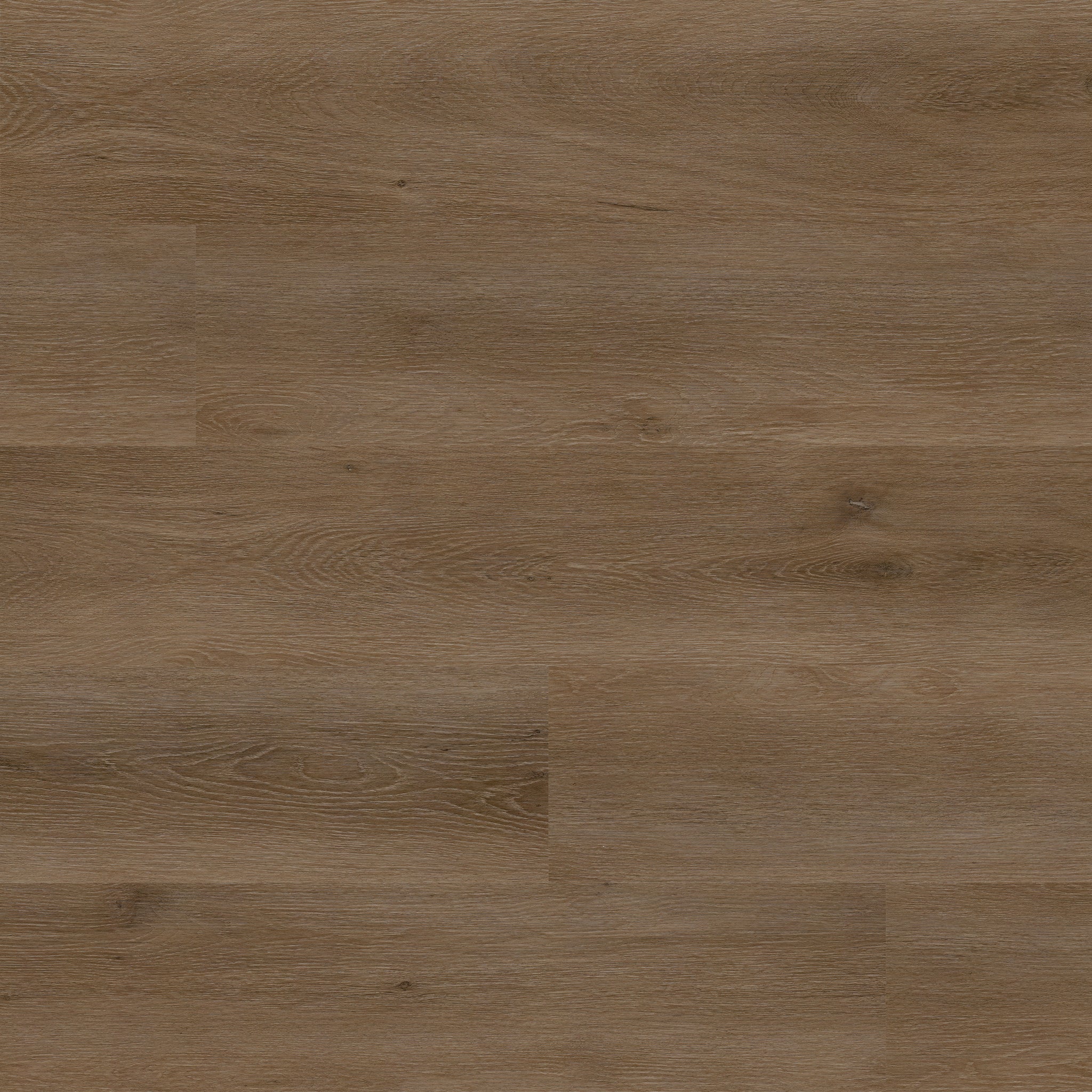 doack_2048x2048.jpg?v=1727454637