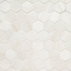 EDEN PORCELAIN TILE COLLECTION DOLOMITE - 2"x2" HEXAGON Swatch