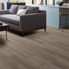 Shaw Floorte Pro Infinite SPC Drift Room Scene