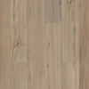 Shaw Paladin Plus Driftwood Swatch