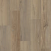Shaw Endura 512C Plus Driftwood Swatch