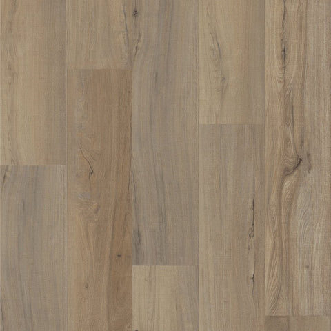 Shaw Endura 512C Plus Driftwood Swatch