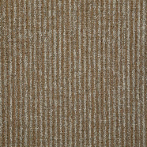 Shaw Carpet Tile Carbon Copy Duplicate Swatch