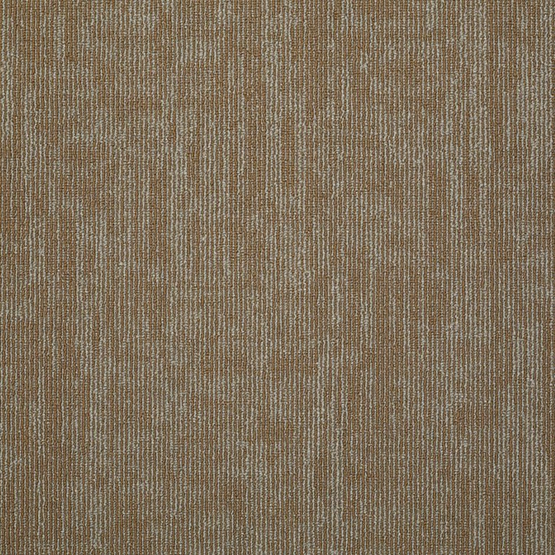 Shaw Carpet Tile Carbon Copy Duplicate