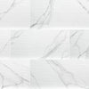 MSI Dymo Statuary Stripe White Tile 12x24 Swatch