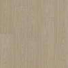 Shaw Distinction Plus Earthy Taupe Swatch
