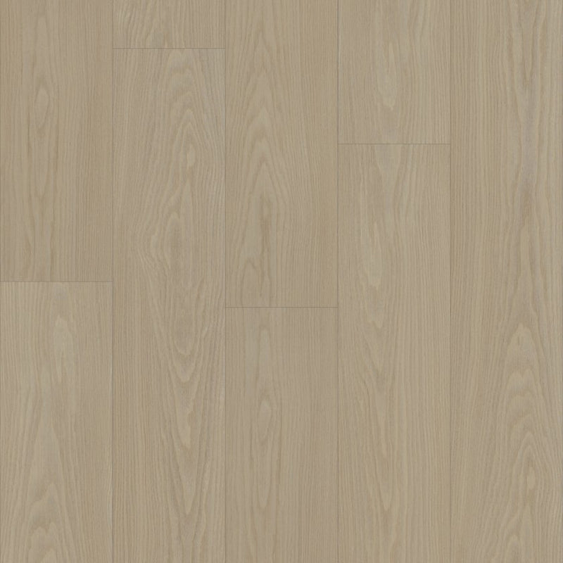 Shaw Distinction Plus Earthy Taupe