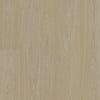 Shaw Distinction Plus Earthy Taupe