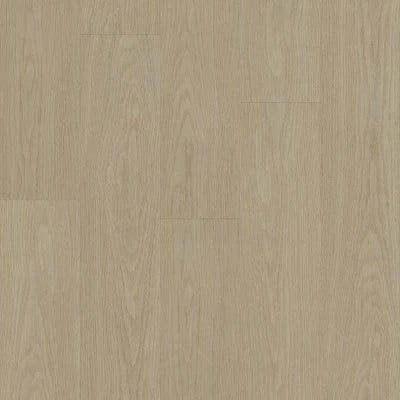 Shaw Distinction Plus Earthy Taupe