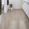 Shaw Distinction Plus Earthy Taupe