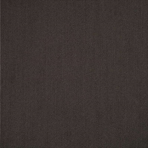 Shaw Carpet Tile Color Accents Ebony Swtch