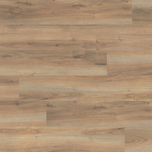 TimbrCORE Laminate Alpine Echo Sample – Flooring Market