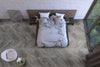 EDEN PORCELAIN TILE COLLECTION BARDIGLIO - 24"x24" POLISHED Room Scene