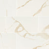 Eden Porcelain Tile Collection Calacatta - 12"x24" - Polished Swatch