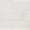 EDEN PORCELAIN TILE COLLECTION DOLOMITE - 24"x48" POLISHED Swatch